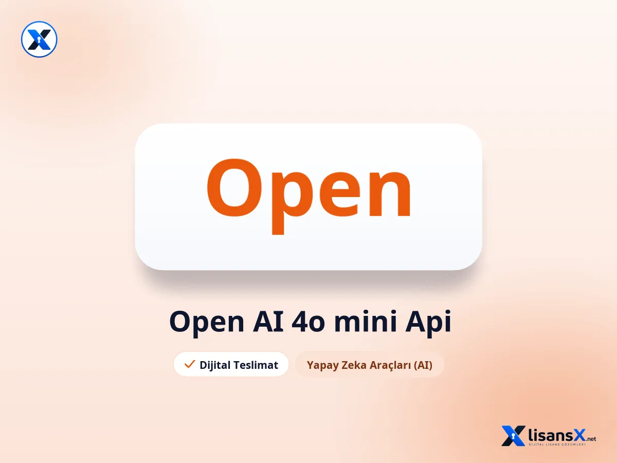 Open AI 4o mini Api