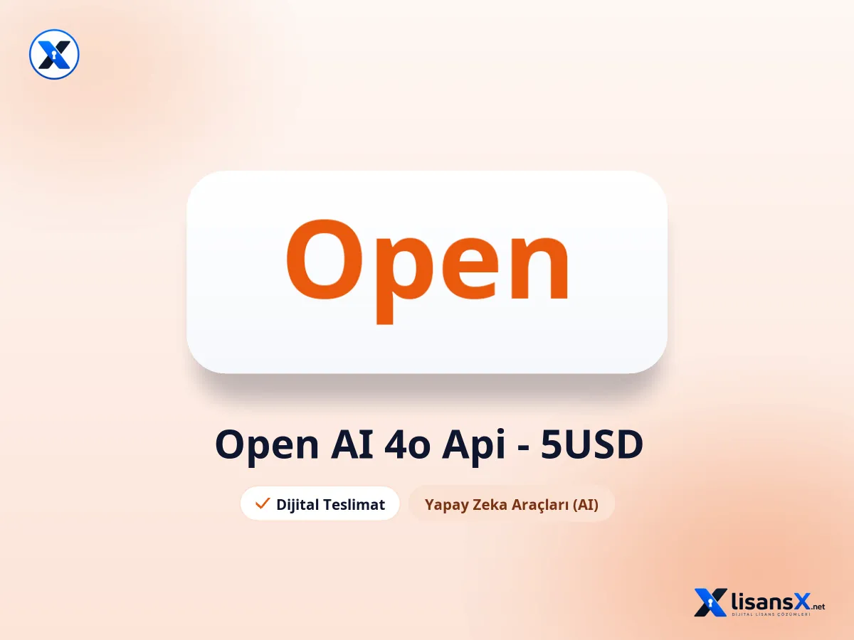 Open AI 4o Api - 5USD